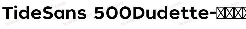 TideSans 500Dudette字体转换
